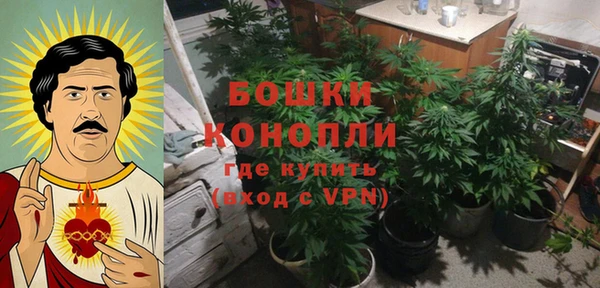 мяу мяу мука Баксан