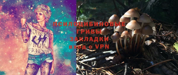 мдпв Киренск