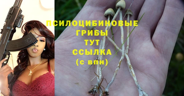 стафф Балабаново