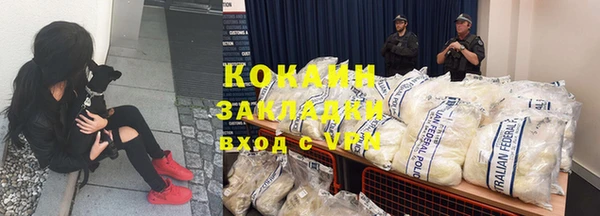 сатива Белоозёрский