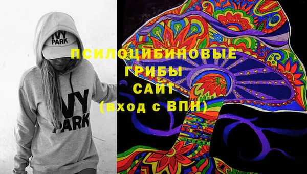 мяу мяу мука Баксан