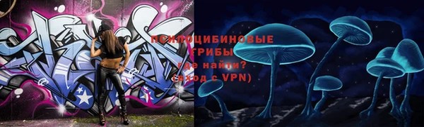 мяу мяу мука Баксан